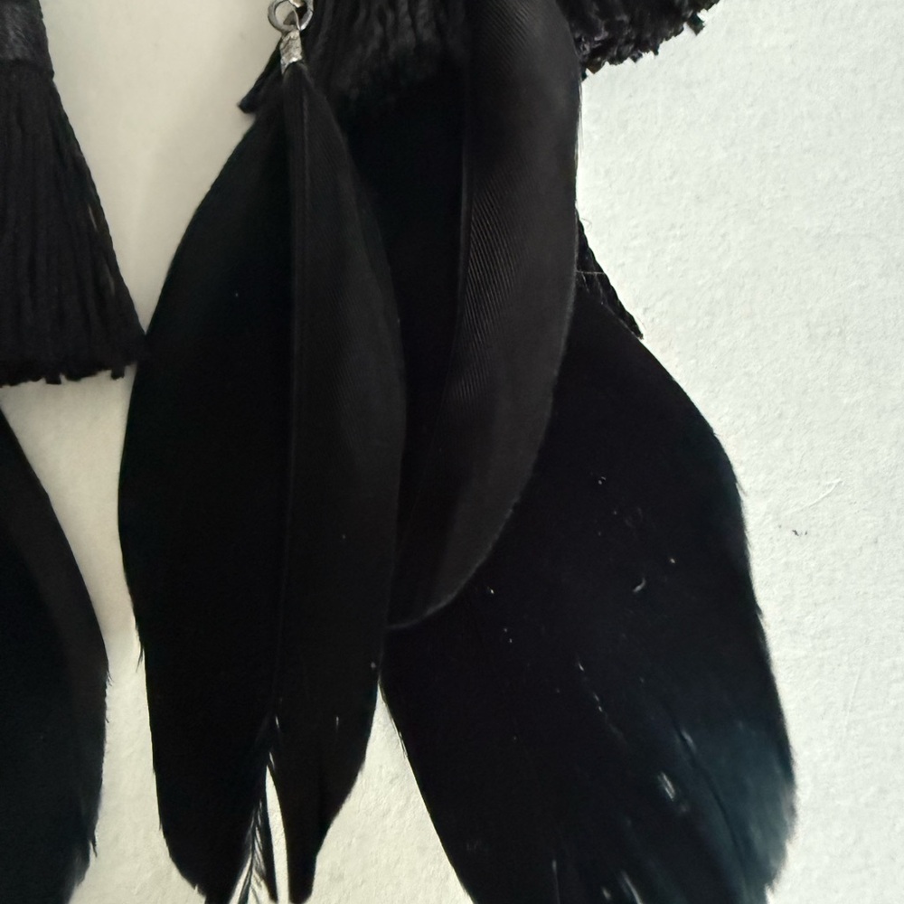 Chic Black Feather and Black Tassel Earrings - Picture 11 of 14